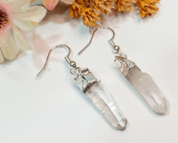 Imagem de Brinco Cristal Prateado